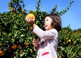 津久井浜観光農園